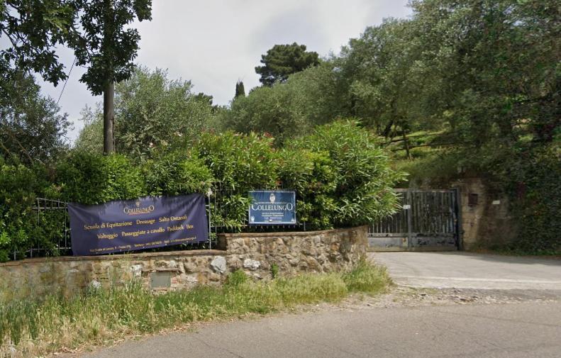Appartamenti La Rocca Palaia Dış mekan fotoğraf